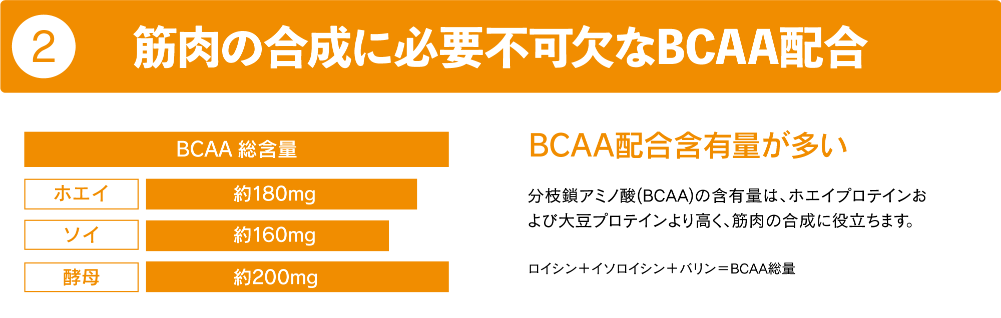 筋肉の合成に必要不可欠なBCAA配合