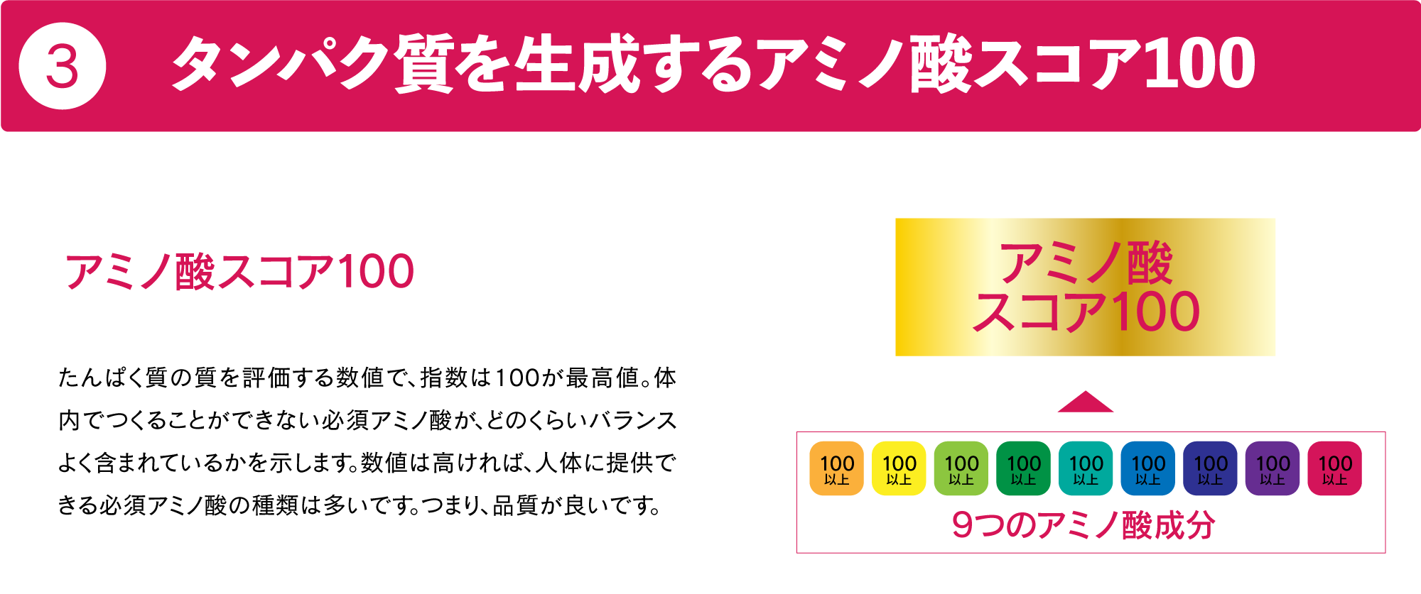 タンパク質を生成するアミノ酸スコア100