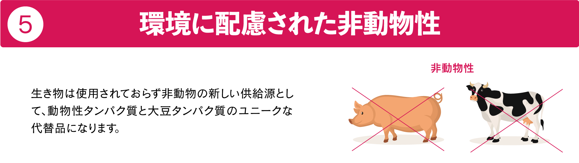 環境に配慮された非動物性