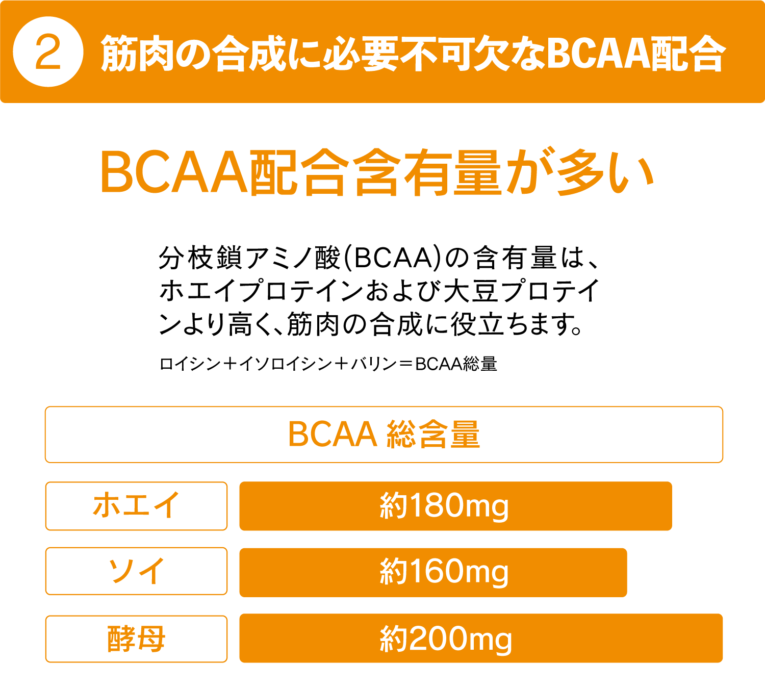 筋肉の合成に必要不可欠なBCAA配合