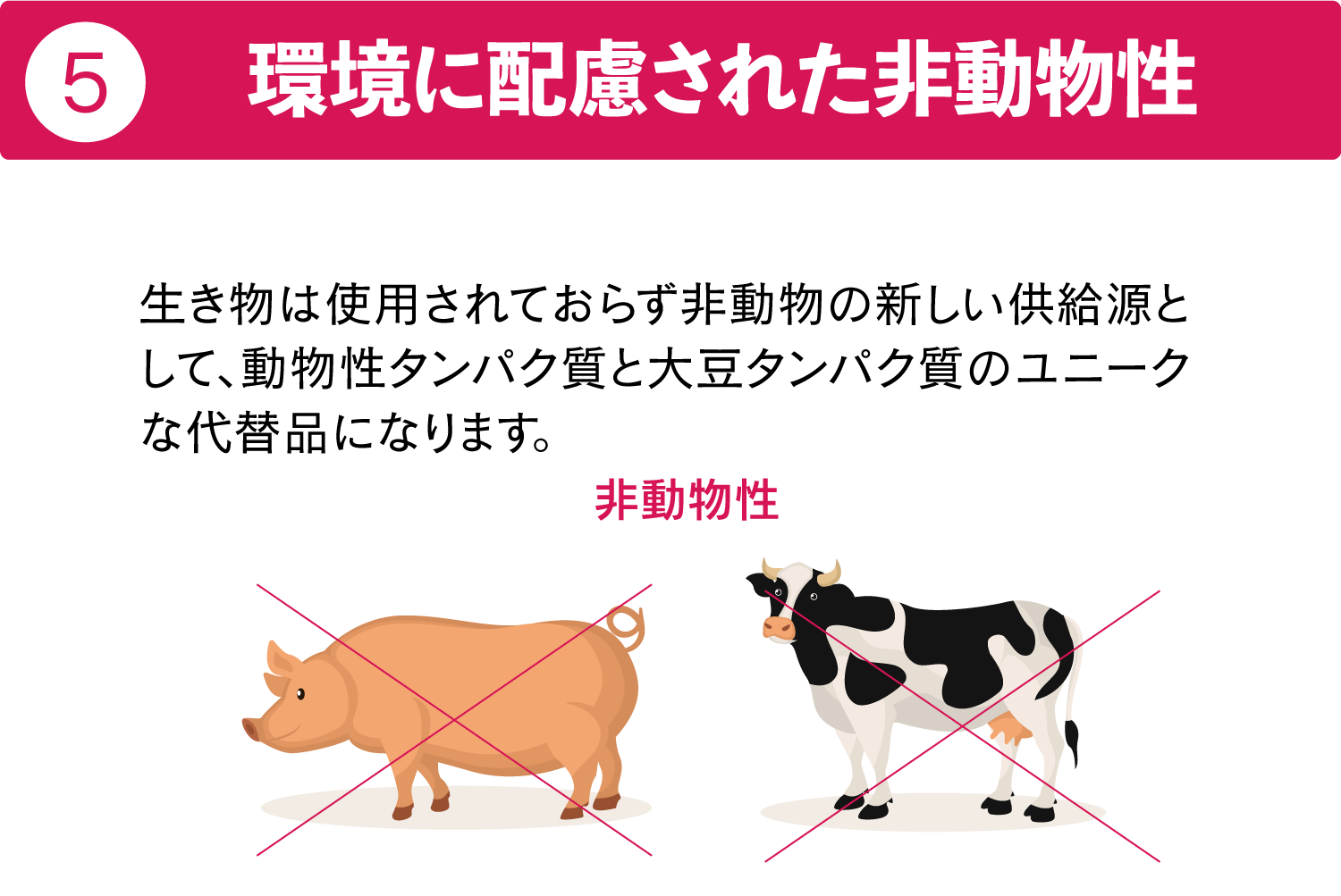 環境に配慮された非動物性